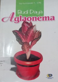 Image of Budi Daya Aglaonema